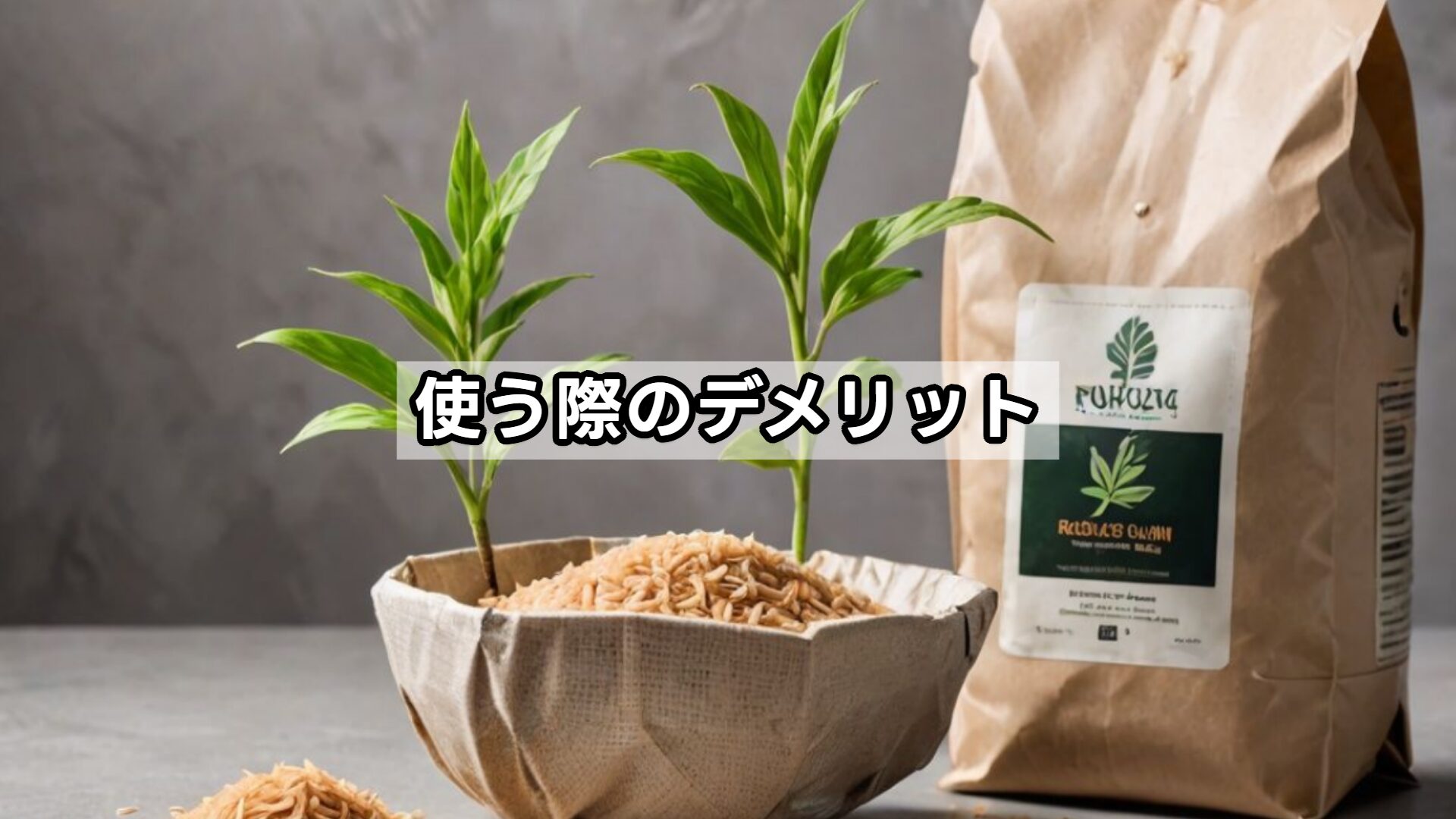 使う際のデメリット