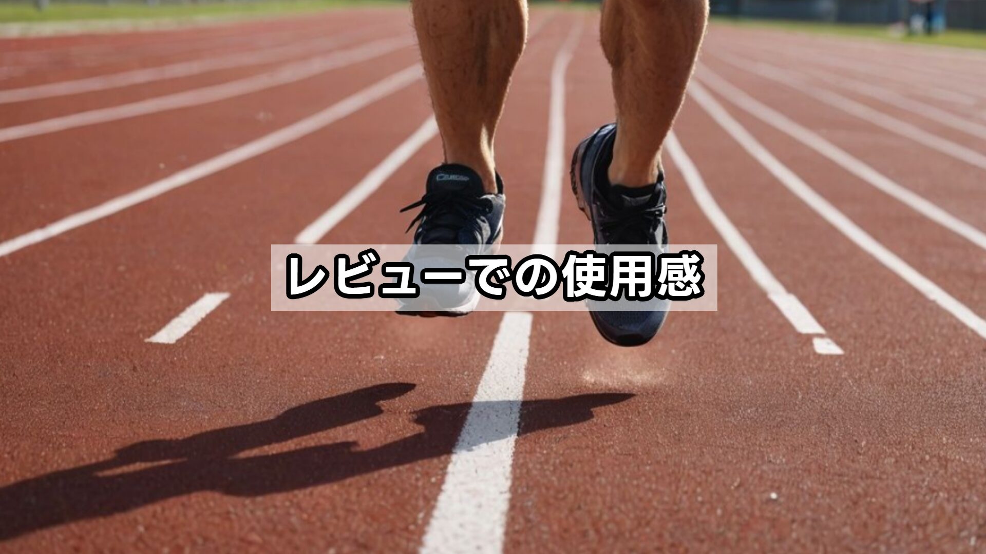 レビューでの使用感