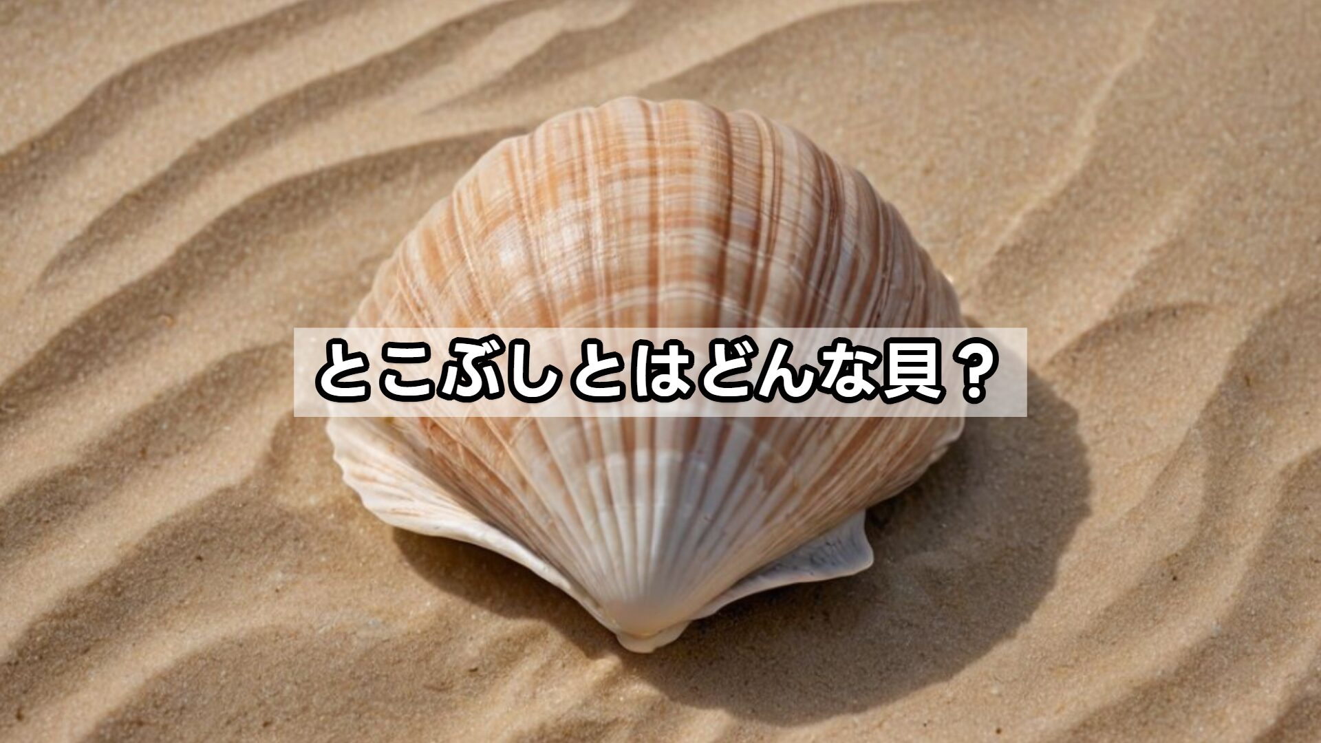 とこぶしとはどんな貝?