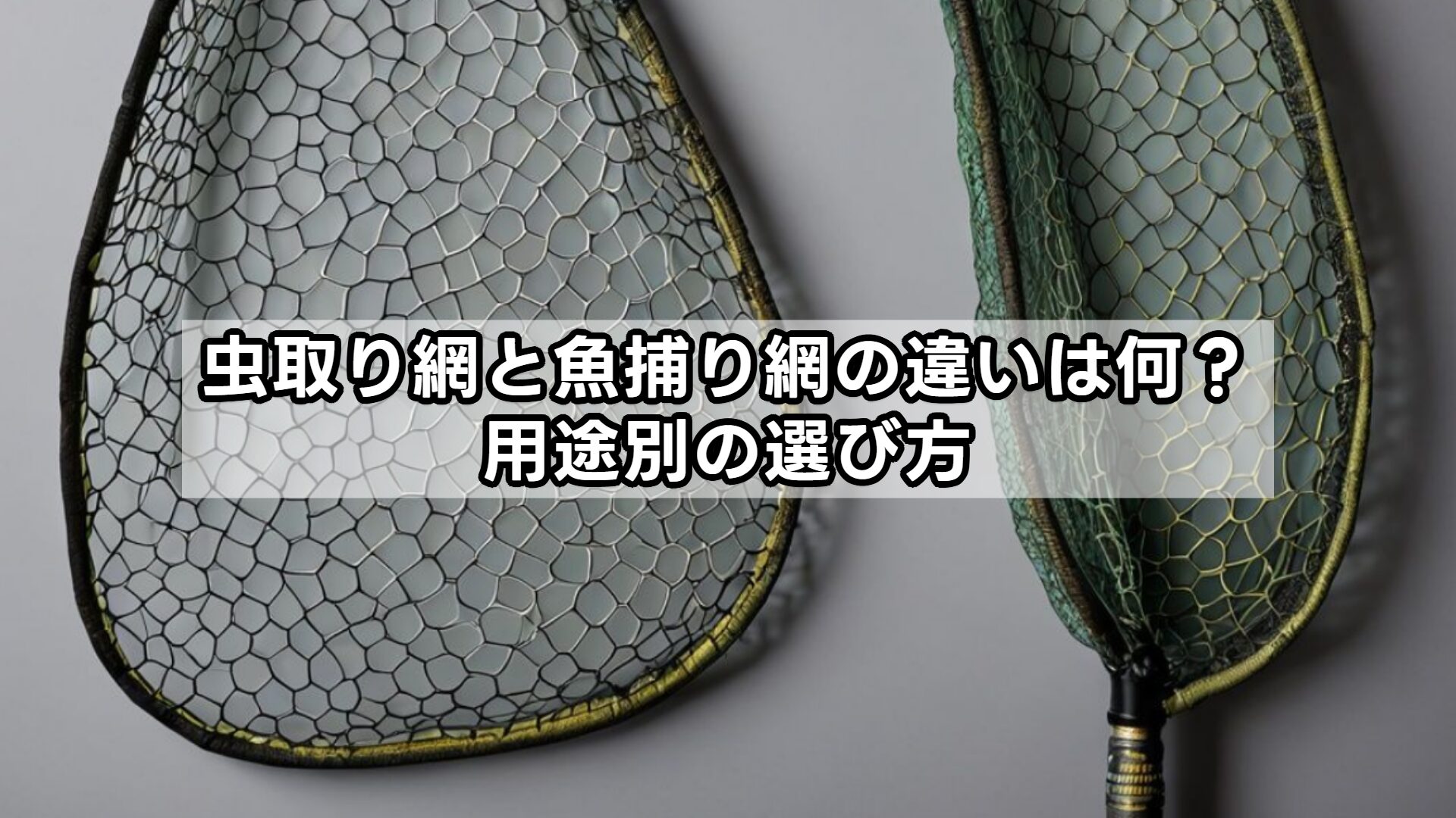 虫取り網と魚捕り網の違いは何？用途別の選び方
