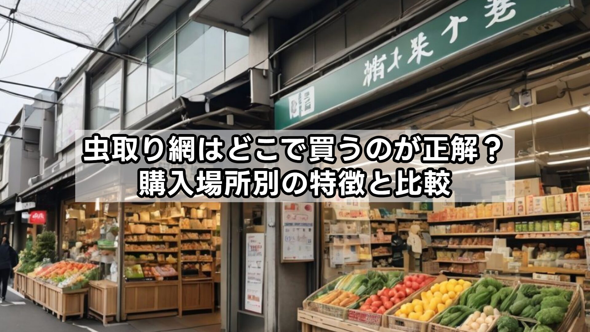 虫取り網はどこで買うのが正解？購入場所別の特徴と比較