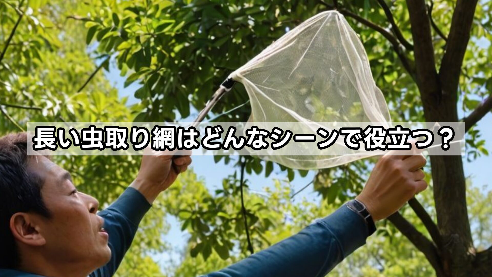 長い虫取り網はどんなシーンで役立つ？
