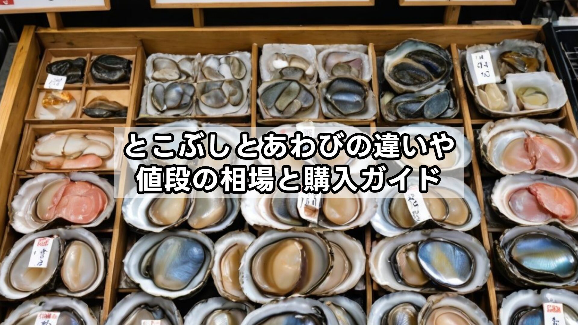 とこぶしとあわびの違いや値段の相場と購入ガイド