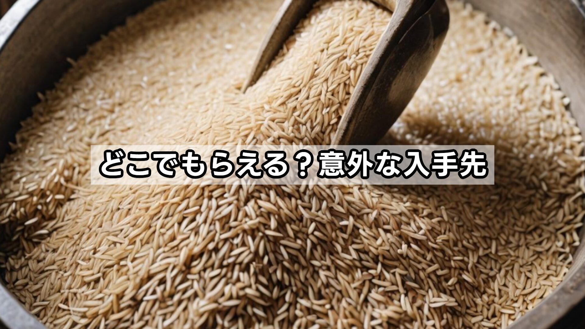 どこでもらえる?意外な入手先