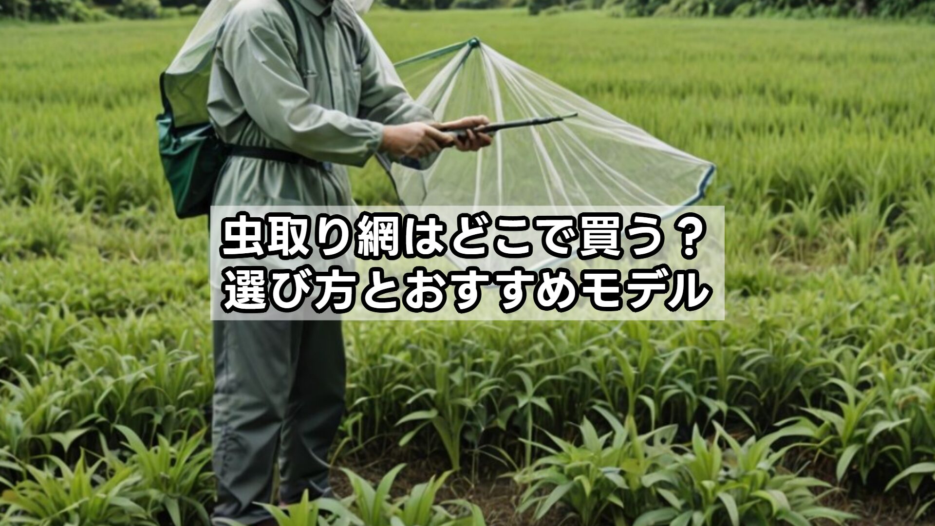虫取り網はどこで買う？選び方とおすすめモデル