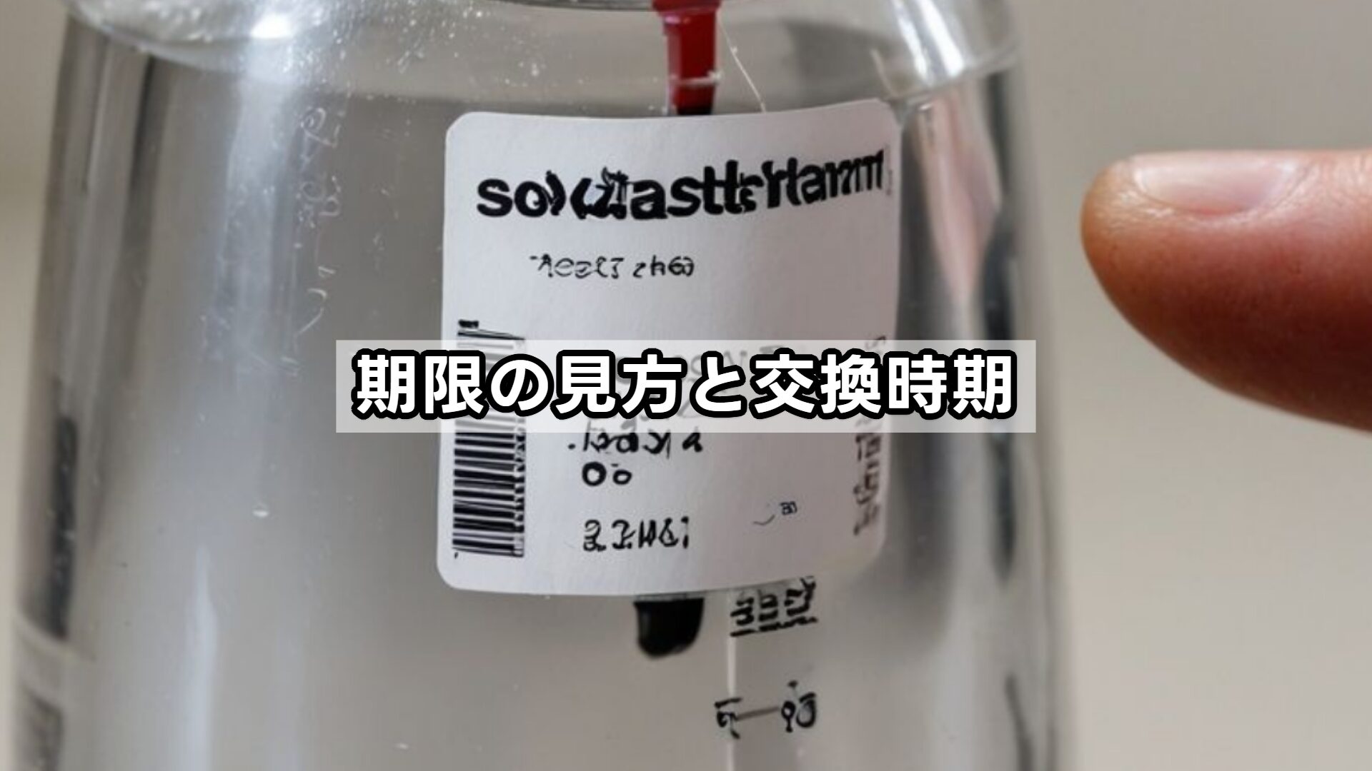 期限の見方と交換時期
