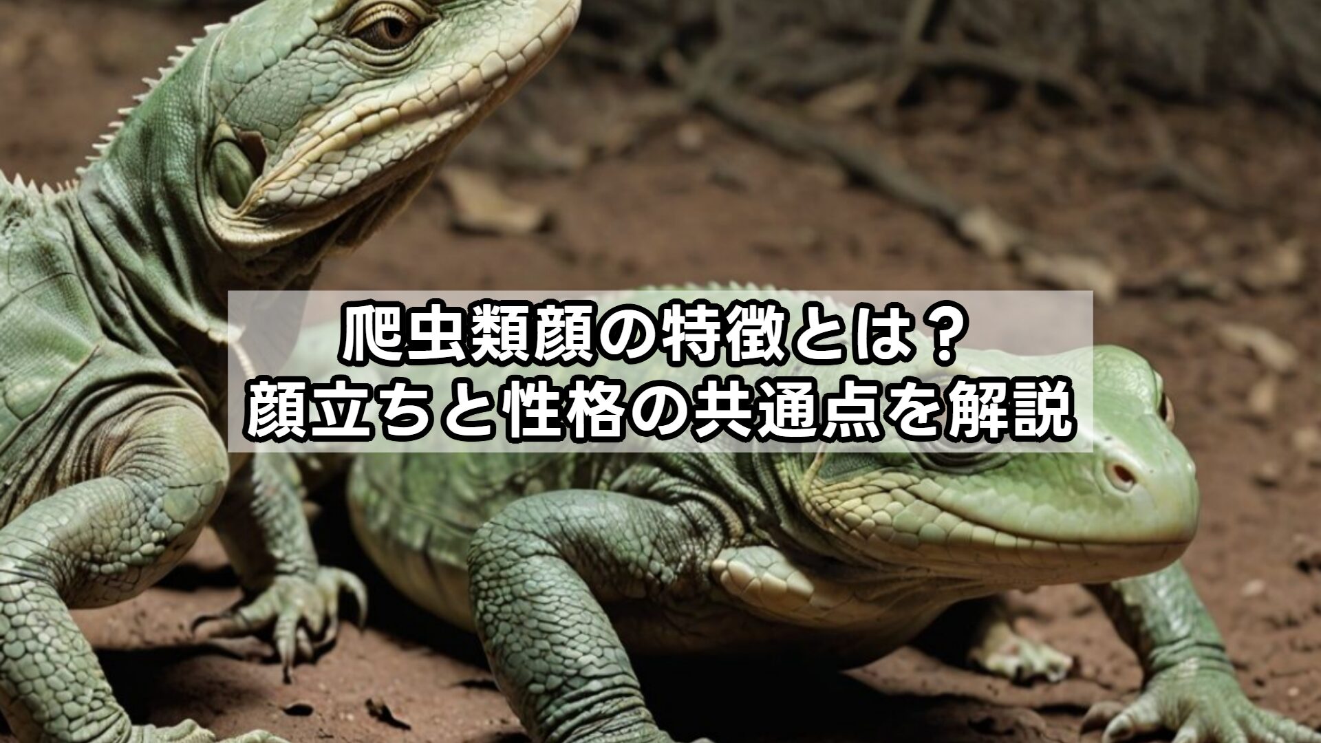 爬虫類顔の特徴とは？顔立ちと性格の共通点を解説