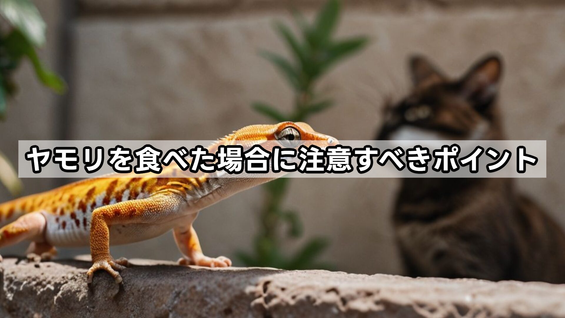 ヤモリを食べた場合に注意すべきポイント