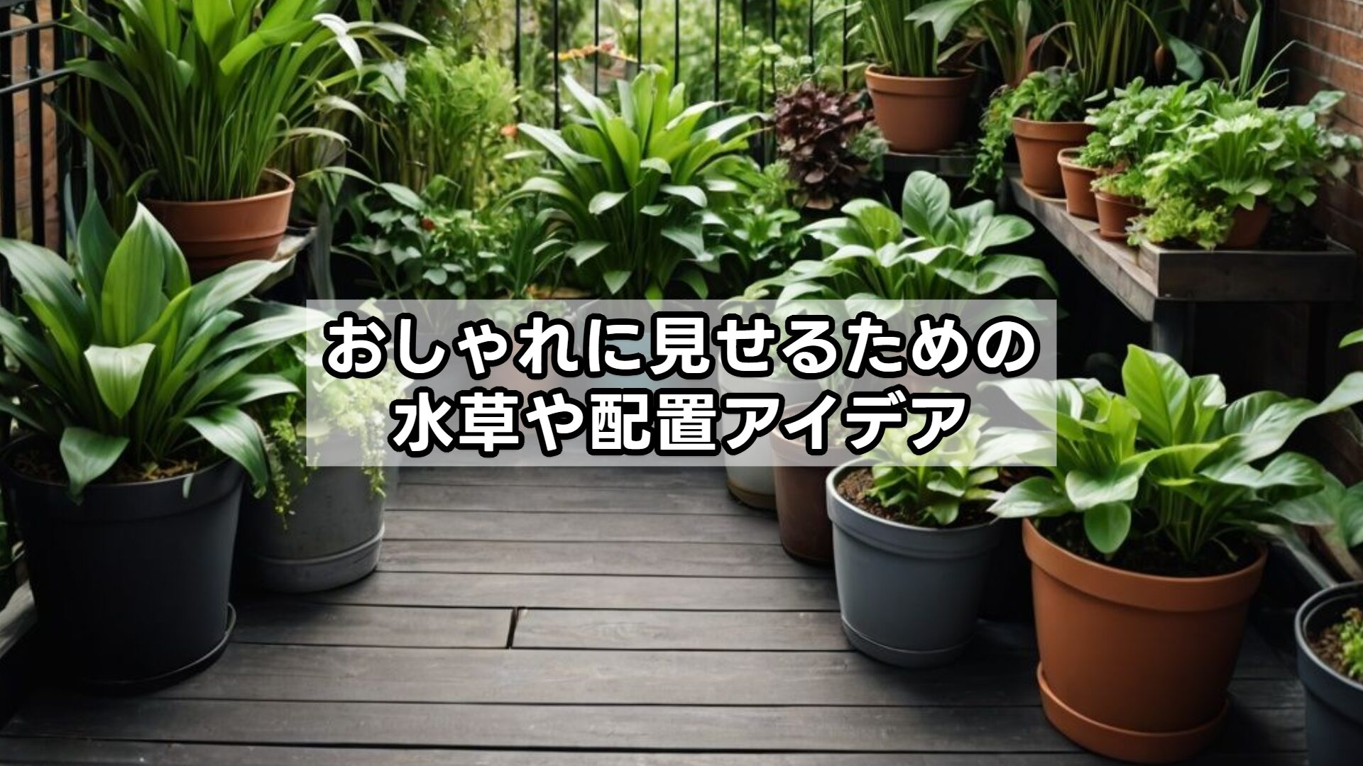 おしゃれに見せるための水草や配置アイデア
