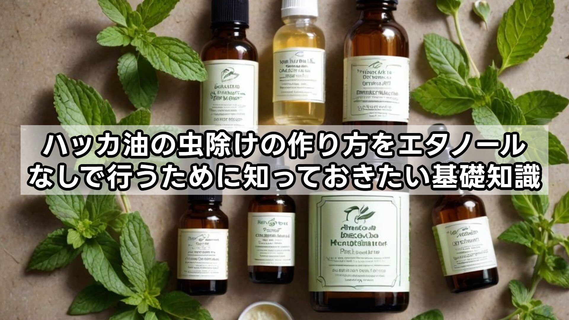ハッカ油の虫除けの作り方をエタノールなしで行うために知っておきたい基礎知識