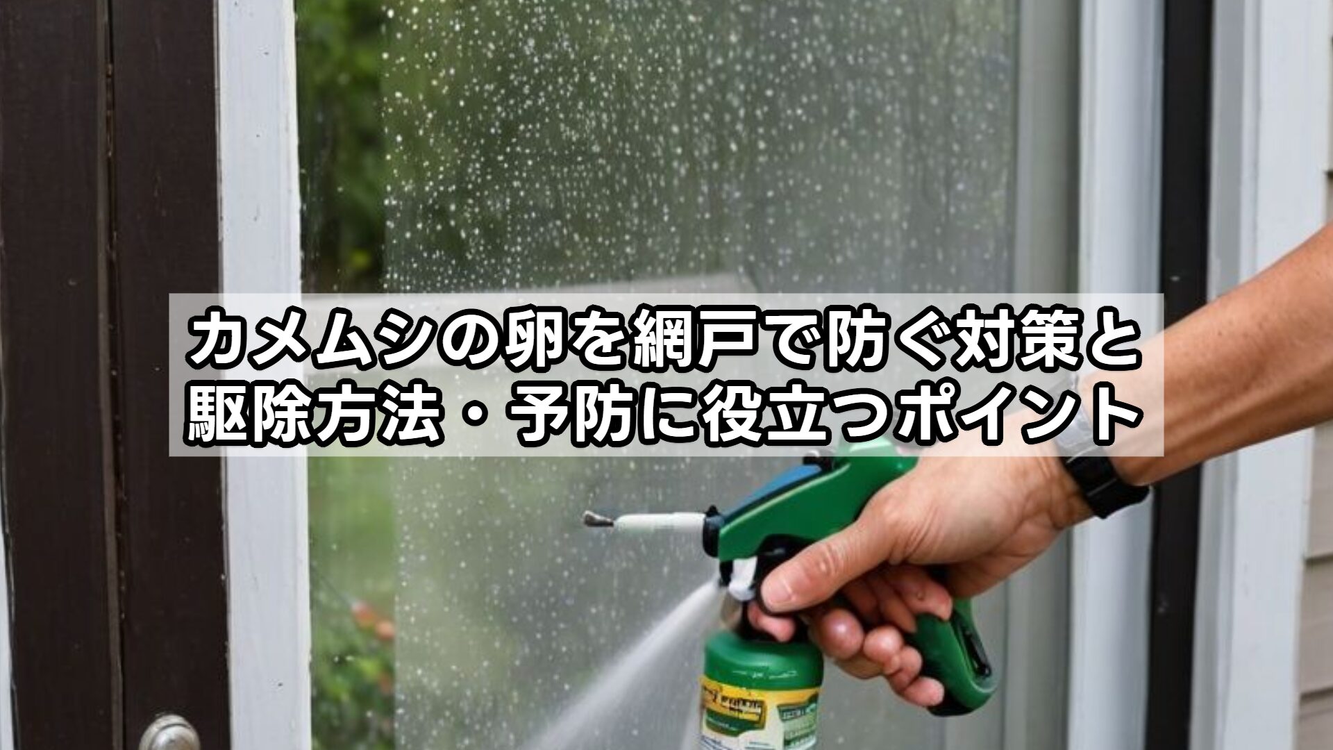 カメムシの卵を網戸で防ぐ対策と駆除方法・予防に役立つポイント