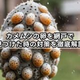 カメムシの卵を網戸で見つけた時の対策を徹底解説