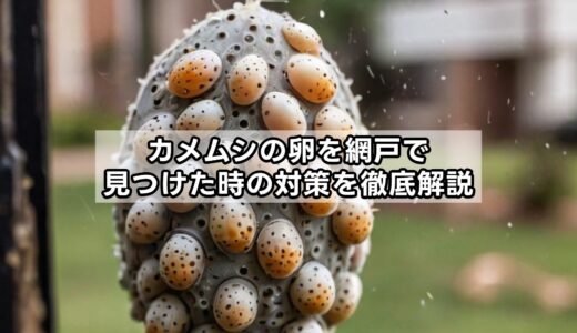 カメムシの卵を網戸で見つけた時の対策を徹底解説