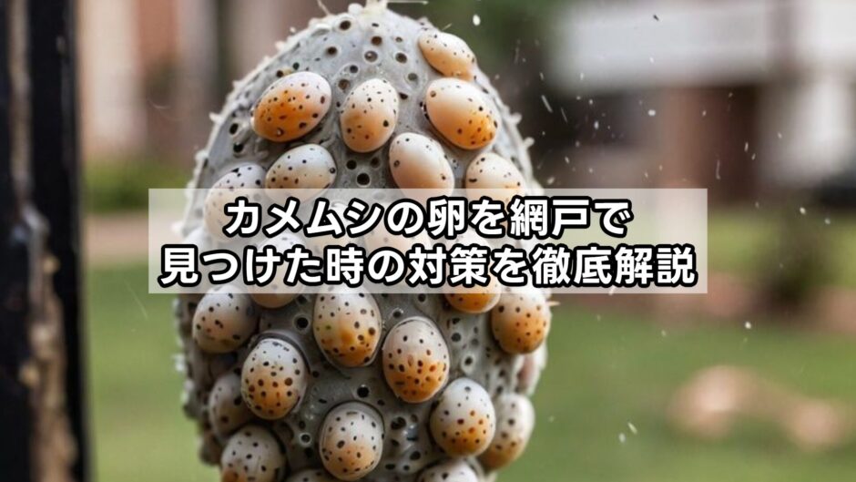 カメムシの卵を網戸で見つけた時の対策を徹底解説