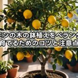 レモンの木の鉢植えをベランダで育てるためのコツと注意点