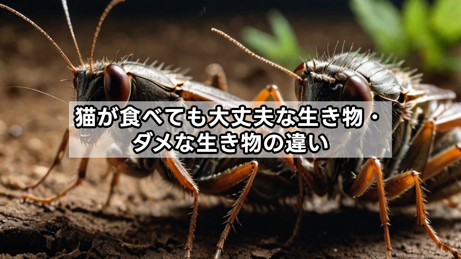 猫が食べても大丈夫な生き物・ダメな生き物の違い