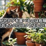 猫がトカゲを食べるのは危険？知っておきたいリスクと正しい対処法