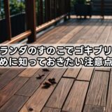 ベランダのすのこでゴキブリを防ぐために知っておきたい注意点と対策
