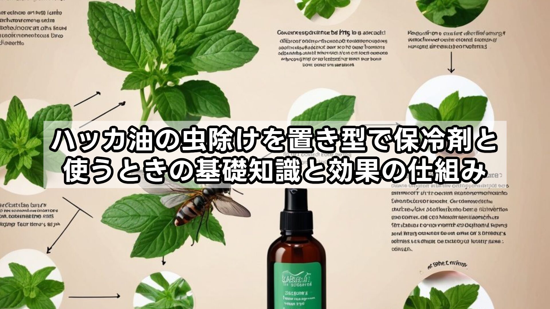 ハッカ油の虫除けを置き型で保冷剤と使うときの基礎知識と効果の仕組み