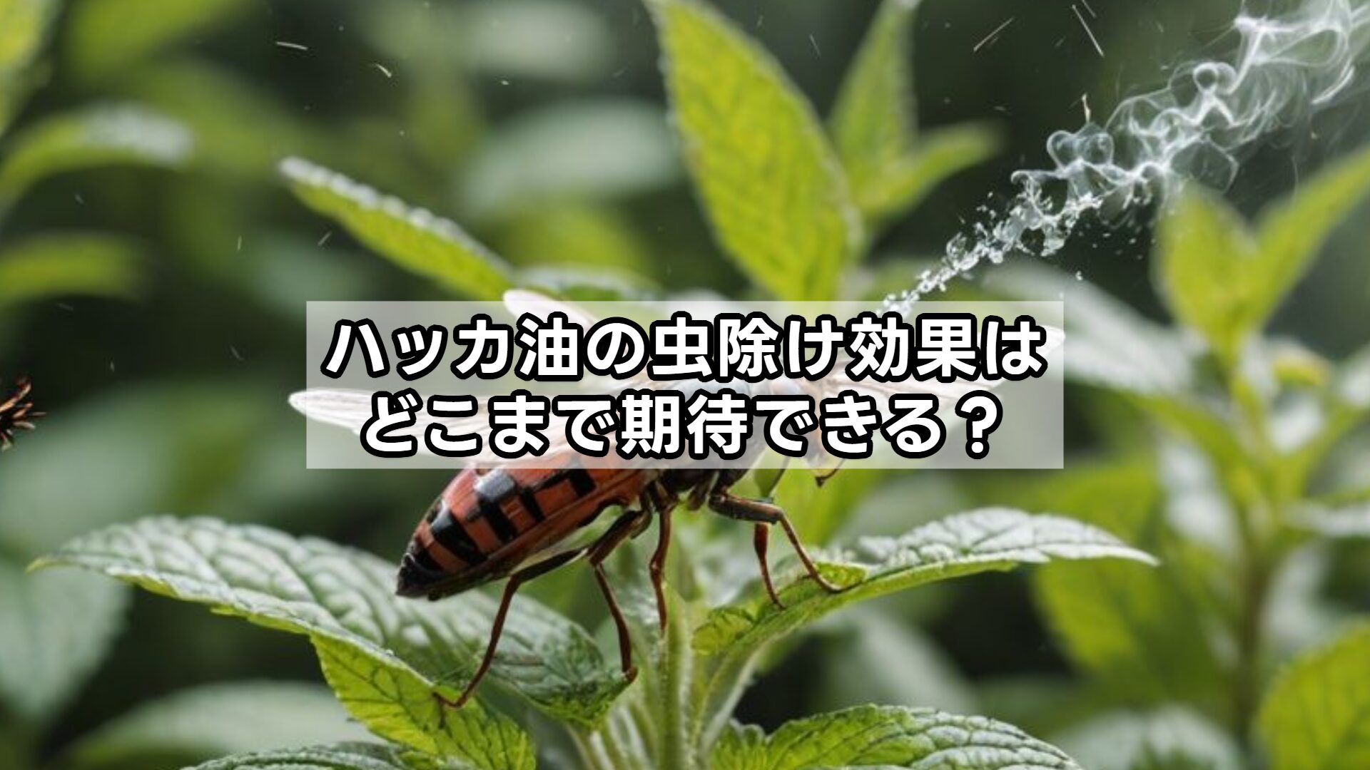 ハッカ油の虫除け効果はどこまで期待できる？