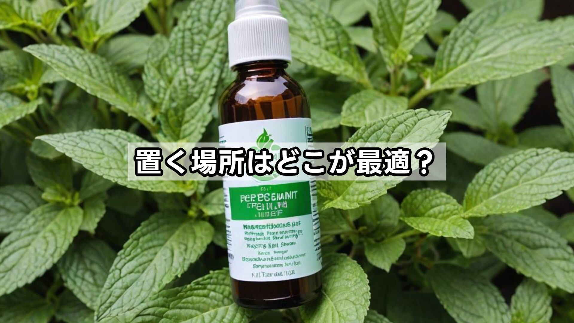 置く場所はどこが最適？