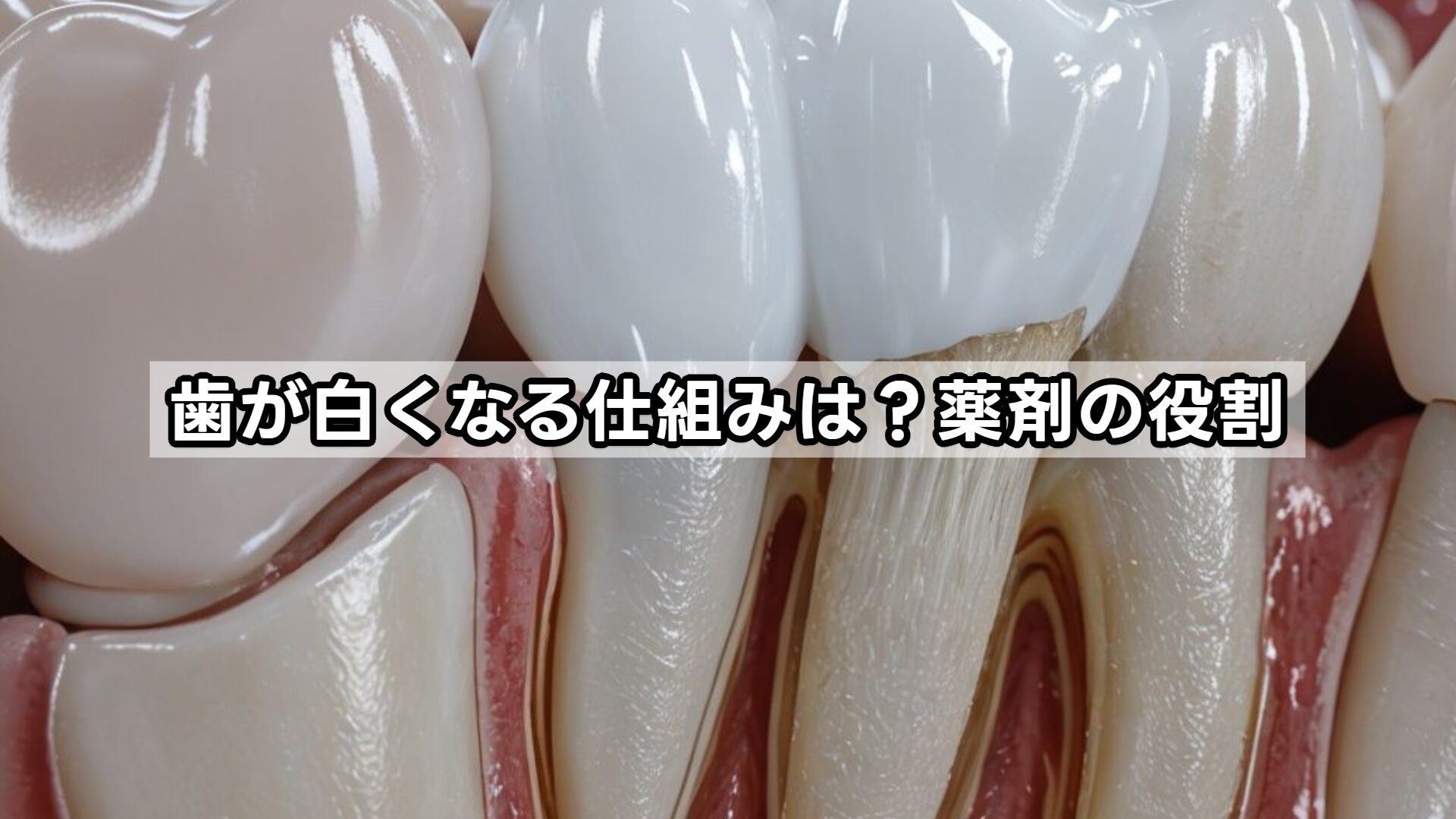 歯が白くなる仕組みは？薬剤の役割