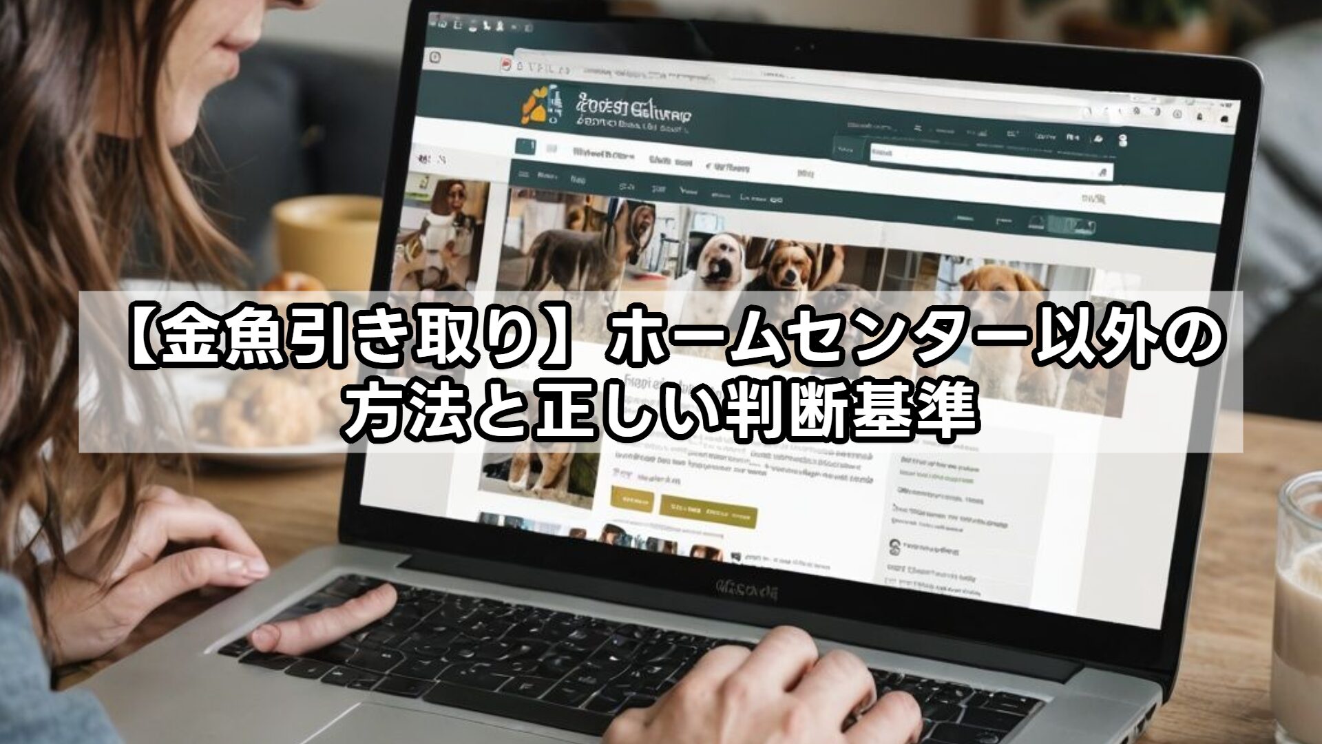 【金魚引き取り】ホームセンター以外の方法と正しい判断基準