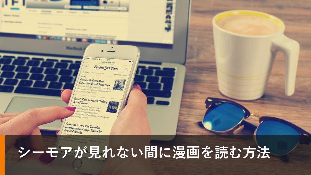 シーモアが見れない間に漫画を読む方法